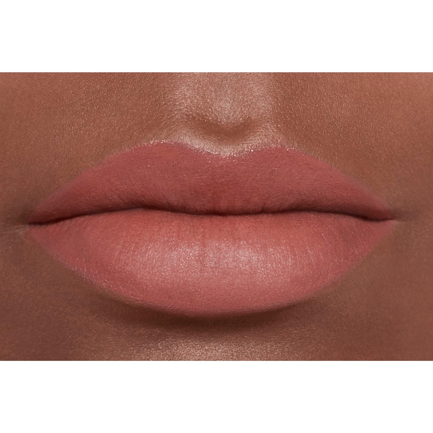 LA BARRA DE LABIOS ATERCIOPELADA LUMINOSA